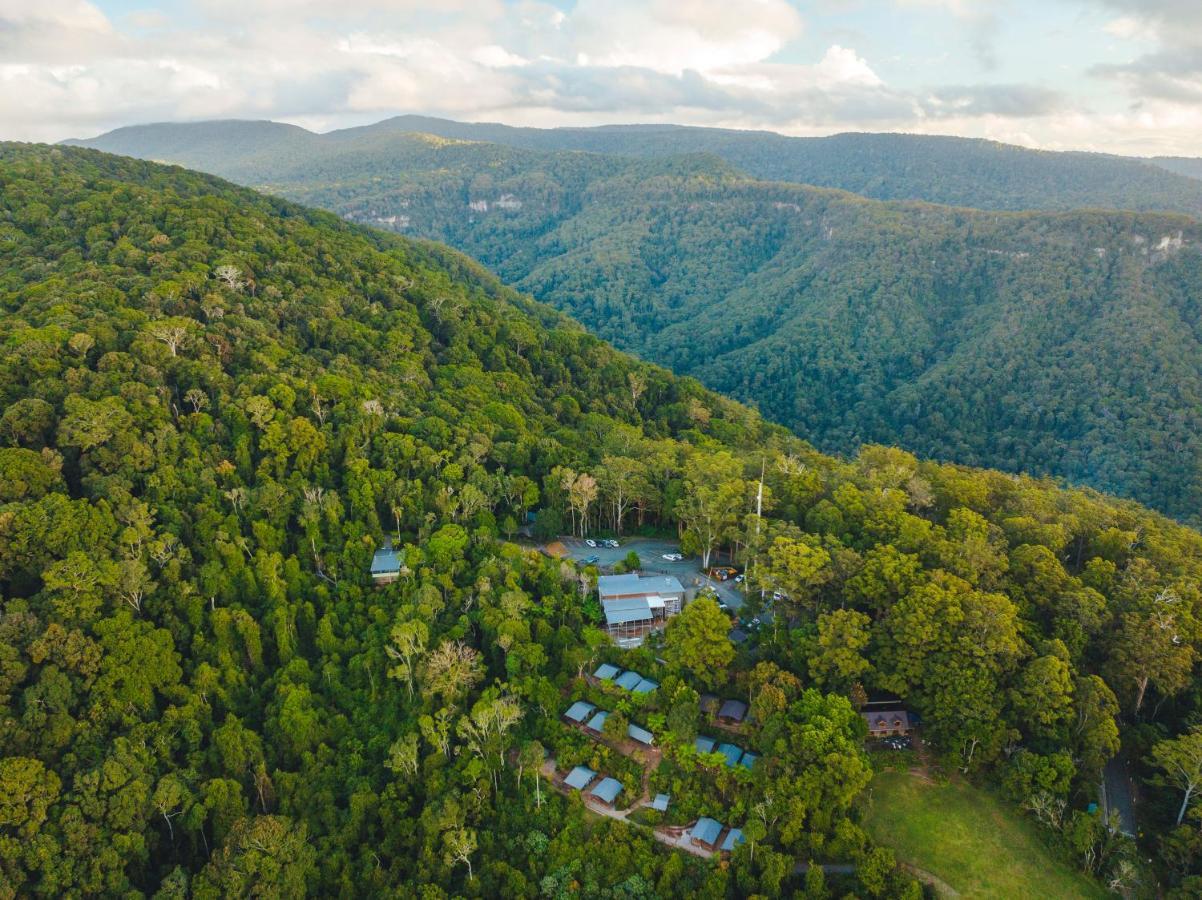 Binna Burra Rainforest Campsite Beechmont Εξωτερικό φωτογραφία