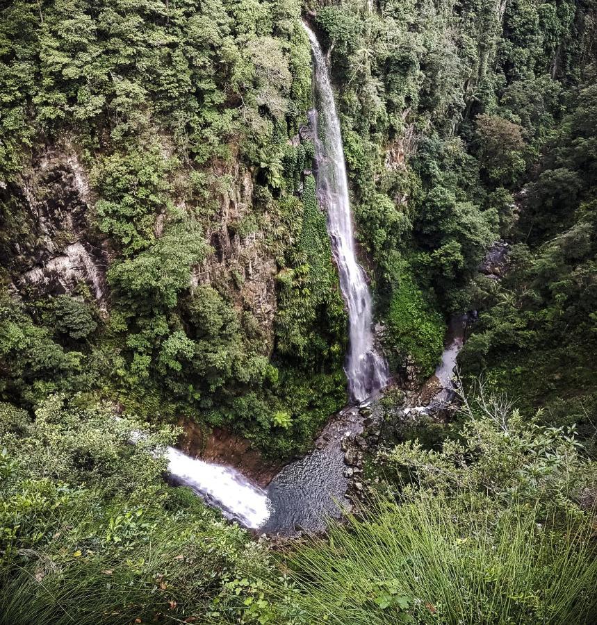 Binna Burra Rainforest Campsite Beechmont Εξωτερικό φωτογραφία